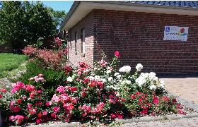 Rosenferienhaus, Rosen am Parkplatz vor den Haus