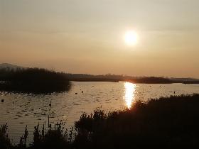 Sonnenuntergang an der Nordsee 11